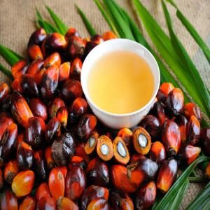 L'huile palmiste